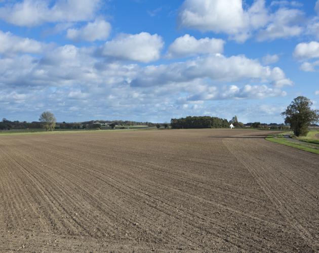 Manor Farm