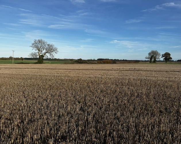 Lot 4 - Manor Farm