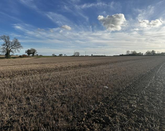 Lot 4 - Manor Farm
