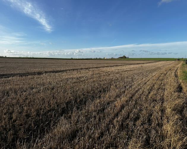 Lot 4 - Manor Farm