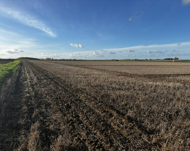 Lot 4 - Manor Farm