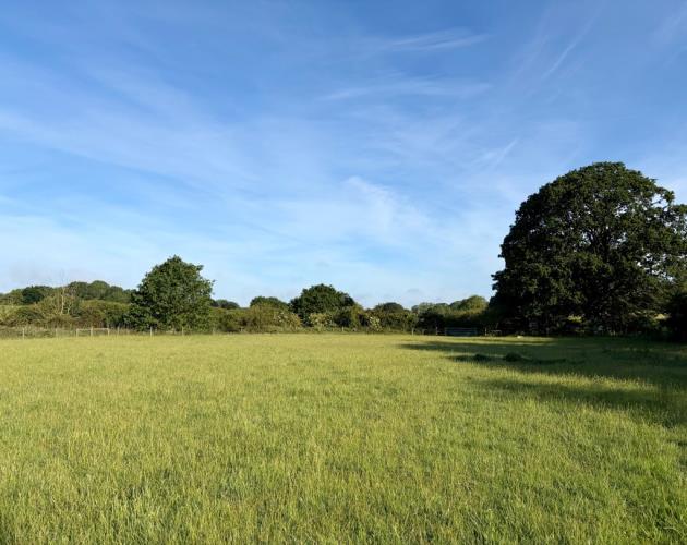 Land At Wissett