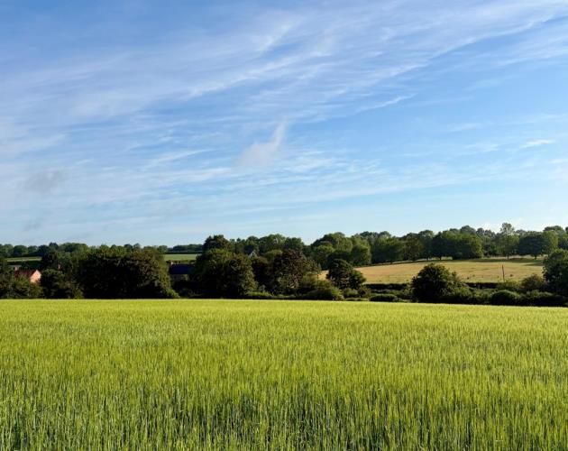 Land At Wissett