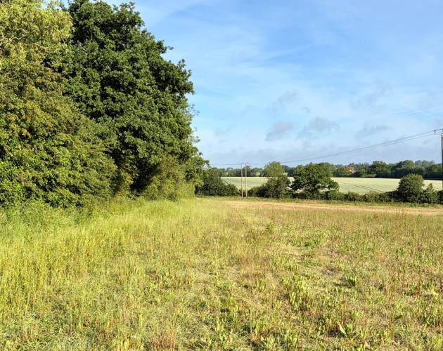 Land At Wissett