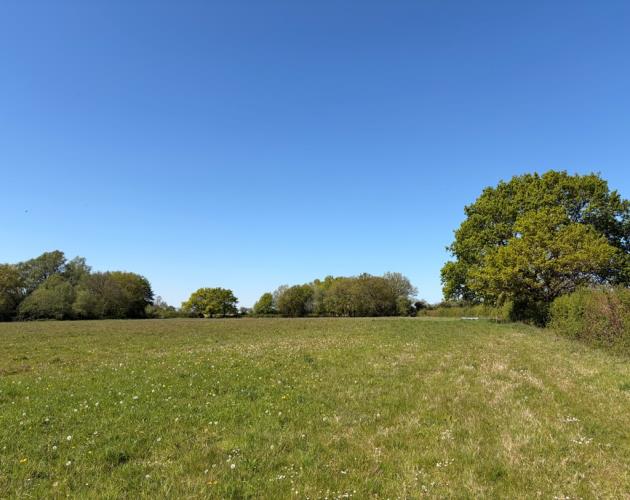 Land At Grove Farm