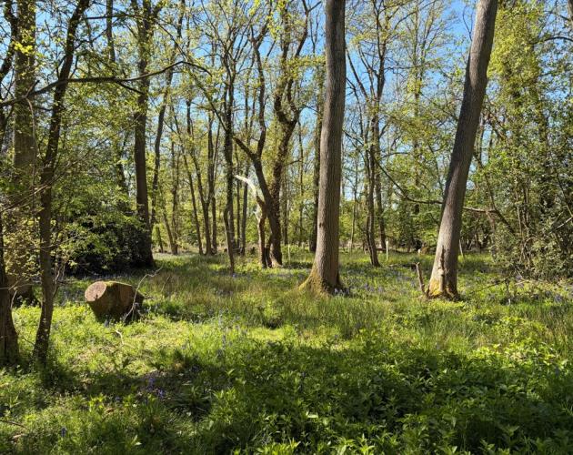 Land At Grove Farm