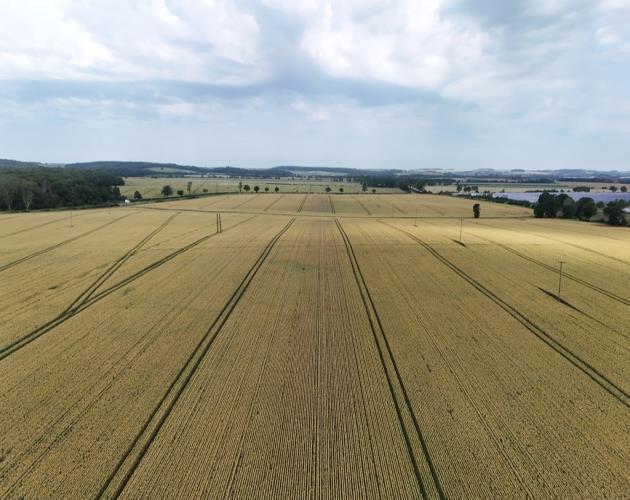 Land At