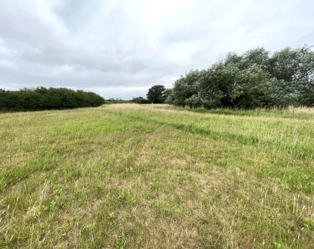 Pasture Land At The Corkerets
