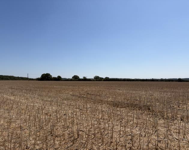 Land At Sparham