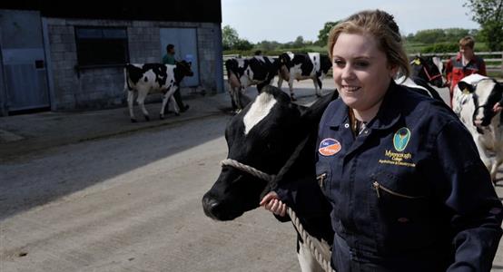 City & Guilds Level 3 Advanced Technical Diploma Agriculture (AGFE04/1/60174523) (26/27)