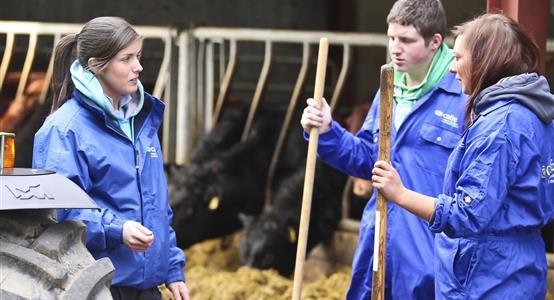 Foundation Degree in Food Innovation and Technology