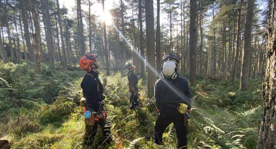 Horticultural 3 Week Block Course
