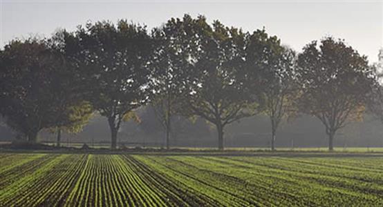 Tractor Driving (4 day course)