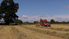 Forage harvesting with Forterra 135 Forage harvesting with Forterra 135
