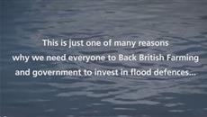 Back British Farming: How 2014 winter floods impacted dairy farmers Back British Farming: How 2014 winter floods impacted dairy farmers