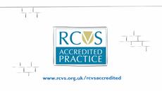 Fun new video promotes RCVS-accredited practice scheme to animal owners Fun new video promotes RCVS-accredited practice scheme to animal owners