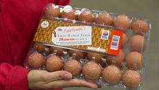 Huge investment and expansion confirms Fairburn’s commitment to free range producers Huge investment and expansion confirms Fairburn’s commitment to free range producers