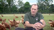 Free Range Eggs Free Range Eggs