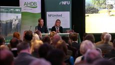 UK must exploit high quality of British beef and lamb to increase sales at home and abroad UK must exploit high quality of British beef and lamb to increase sales at home and abroad