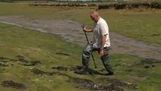 Mud Walking Mud Walking