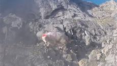 Sheep stranded on cliff edge for one week rescued Sheep stranded on cliff edge for one week rescued