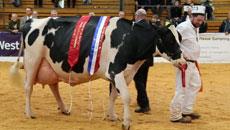 Dairy Expo 2018 Dairy Expo 2018