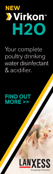 Antec International Ltd