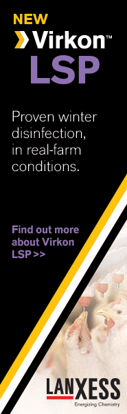 Antec International Ltd