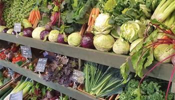 Drove Orchards Farm Shop