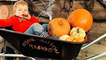 Sandy Bottom Pumpkins