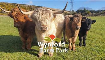 Wynford Farm Park