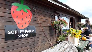 Sopley Farm Shop & Bakery - Dan Tanner's