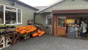 Wayside Farm Shop and Tearoom
