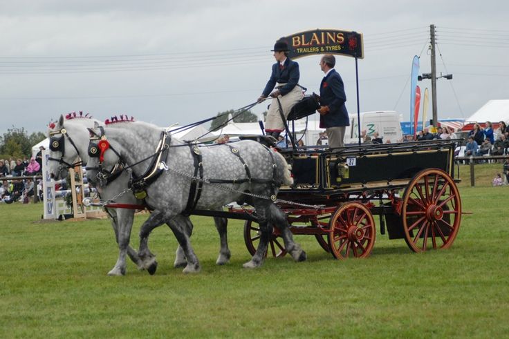 thame livestock market report