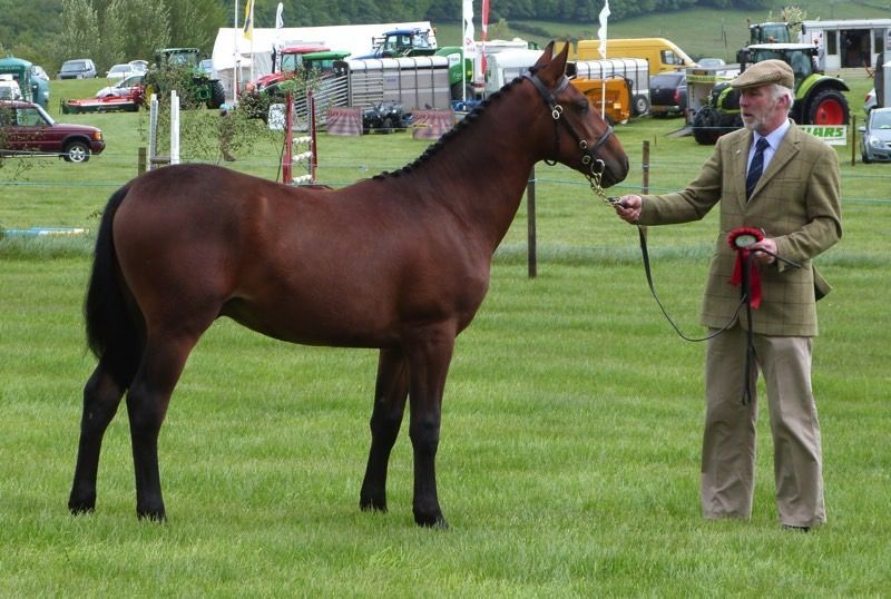 West Fife Show FarmingUK Shows