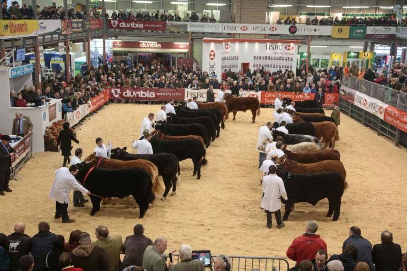 Royal Welsh Winter Fair FarmingUK Shows