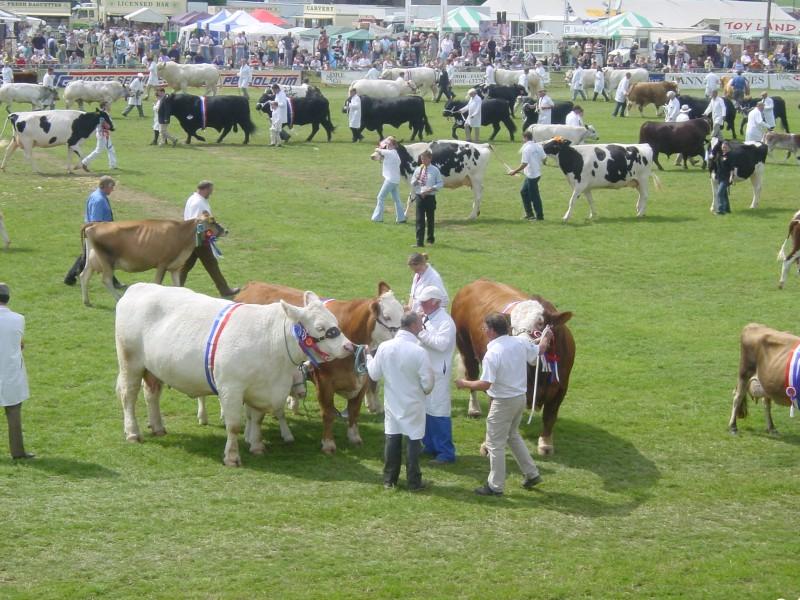 Shropshire County Show FarmingUK Shows