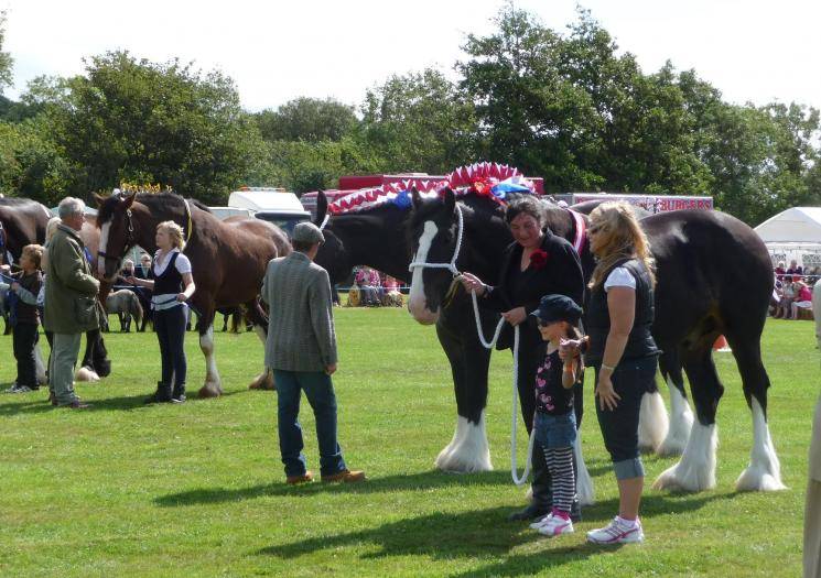 Tregony Heavy Horse Show And Country Fayre Farminguk Shows
