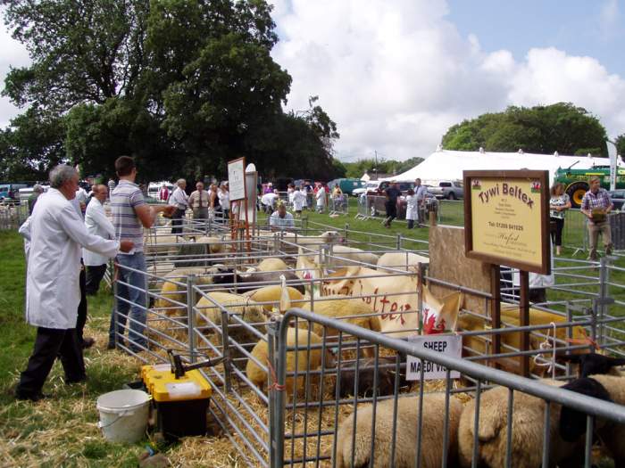 Pembroke Town & Country Show FarmingUK Shows