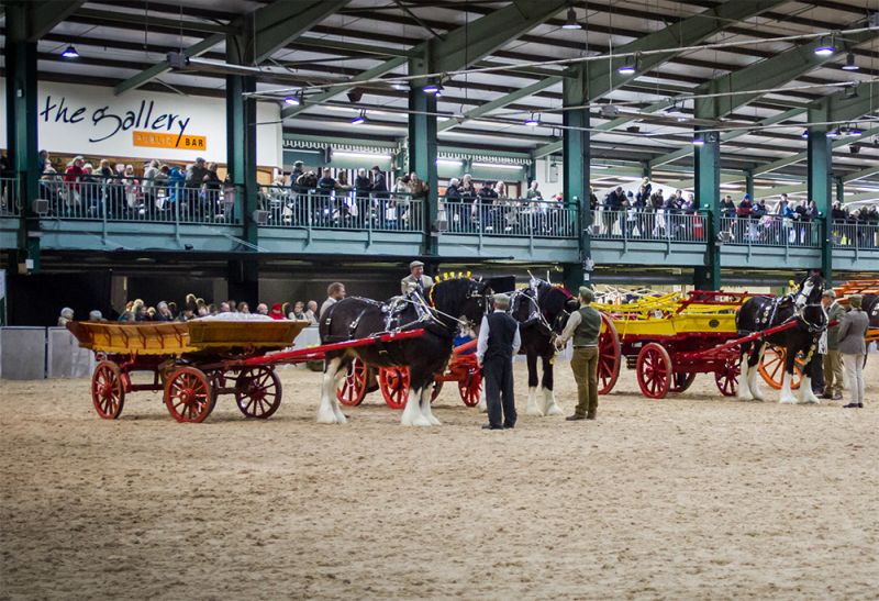 Shire Horse Show FarmingUK Shows