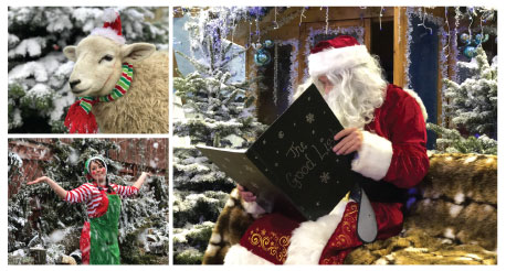Finkley Down Farm Magical Christmas