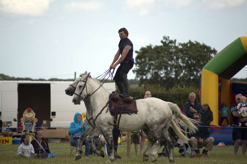 Bishop Wilton Show