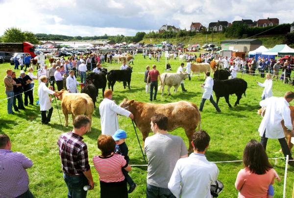 Fermanagh County Show