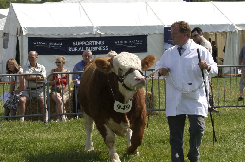 Kenilworth Show