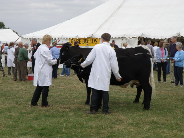 Gransden Show
