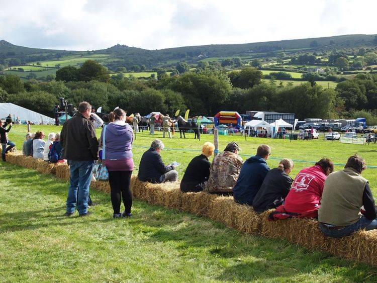 Widecombe Fair