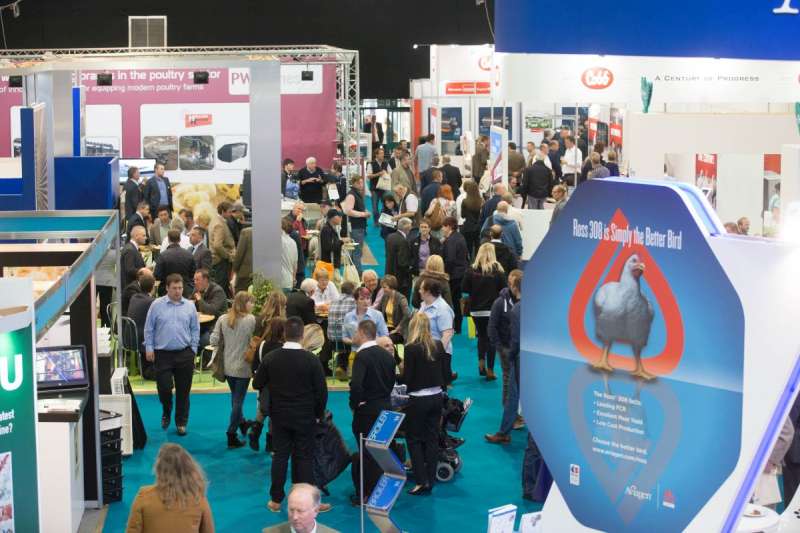 Pig and Poultry Fair