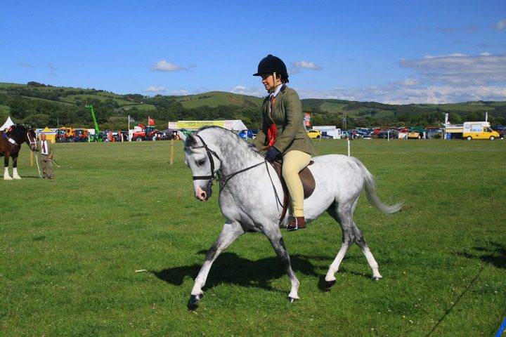 Llandysul & District Agricultural Show