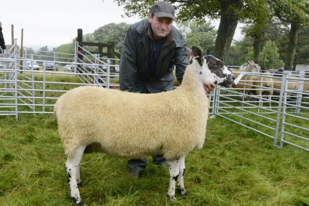 Powburn Show