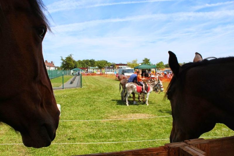 Kirkcudbright Country Fair